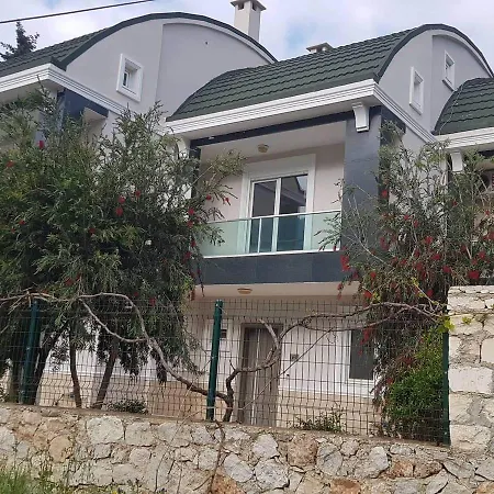 Likya Villalari *